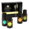 Aromatherapy Sports Fans Gift Set